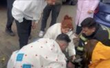 Yangında 2 köpekten biri öldü, diğeri kalp masajıyla yaşama döndürüldü Yangında 2 köpekten biri öldü, diğeri kalp masajıyla yaşama döndürüldü