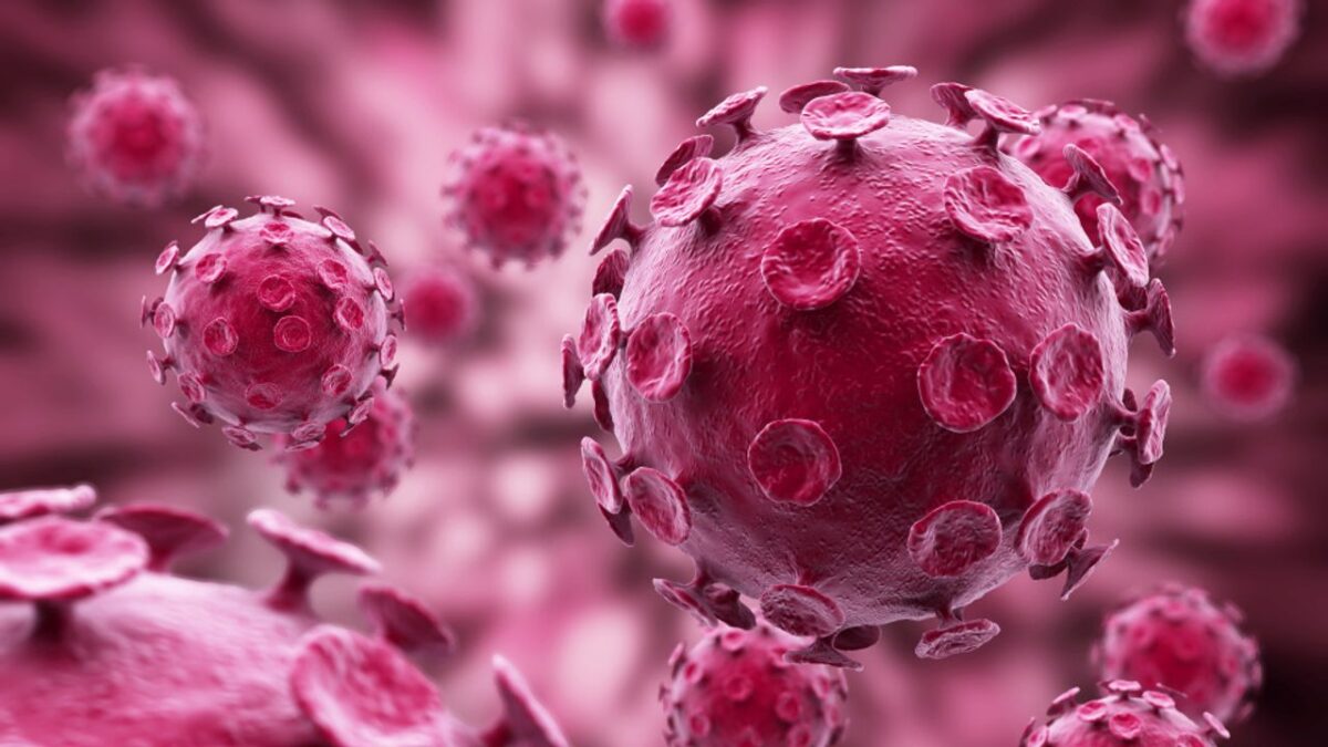 H3N2 grip varyantı uyarısı: Daha hızlı yayılıyor H3N2 grip varyantı uyarısı: Daha hızlı yayılıyor