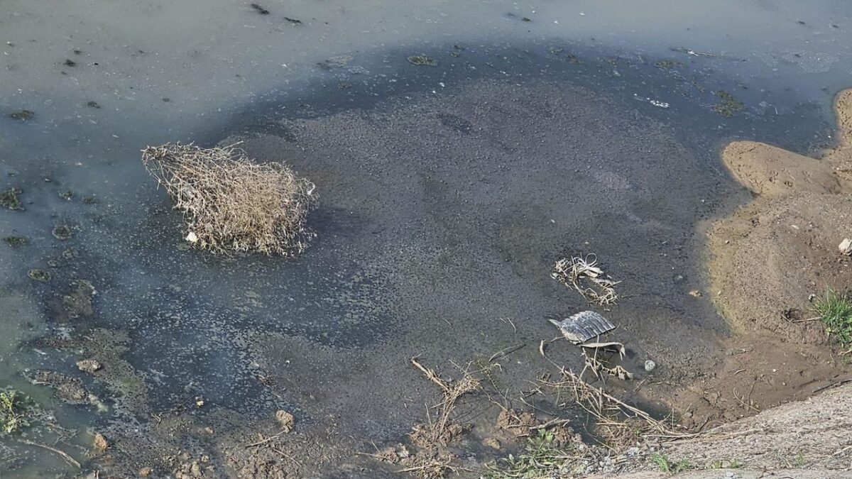 Manisa Büyükşehir, temiz çevre için görev başında Manisa Büyükşehir, temiz çevre için görev başında