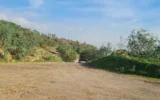 “Yol boyu ticaret” talep etmişti… Gıda devine komisyonlardan ret!