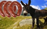 İzmir’de mide bulandıran olay: Dana sucuk diye eşek eti yedirmişler İzmir’de mide bulandıran olay: Dana sucuk diye eşek eti yedirmişler