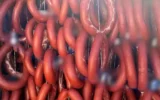 Taklit-tağşiş gıdalar listesine 15 yeni ürün!