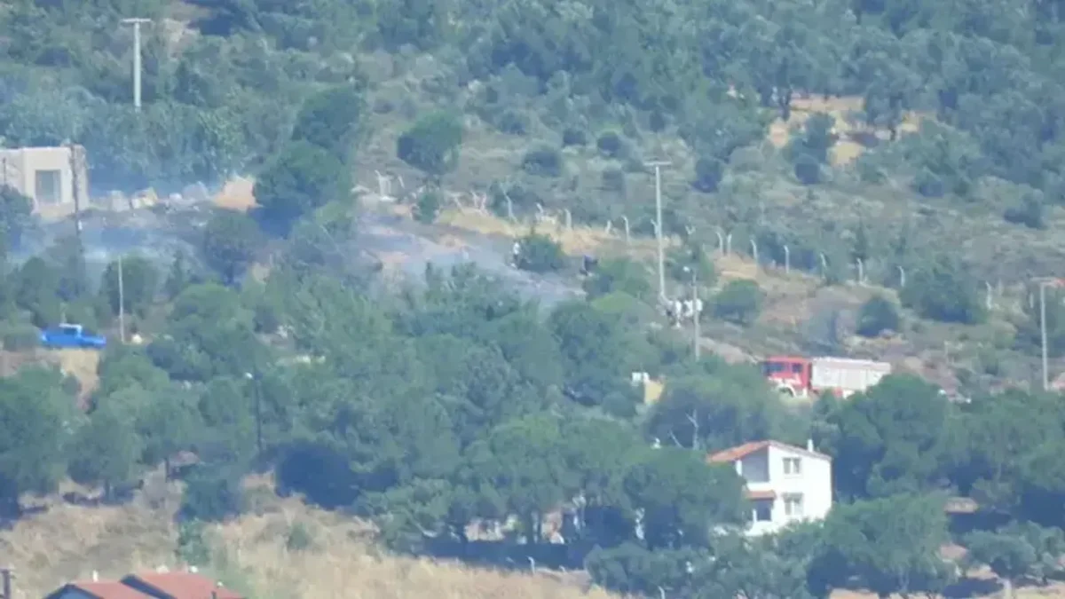 Cunda Adası’nda orman yangını!