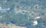 Cunda Adası’nda orman yangını! Cunda Adası’nda orman yangını!